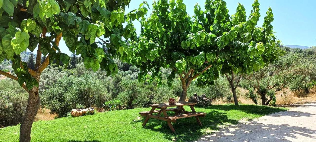 Lily Home_Lefkada ~ Private Country House Kondaraíni Esterno foto