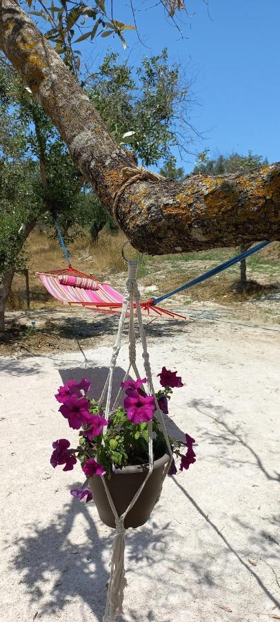 Lily Home_Lefkada ~ Private Country House Kondaraíni Esterno foto