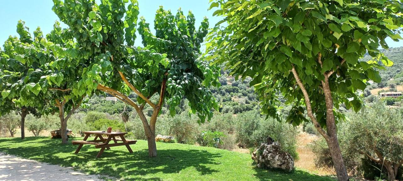 Lily Home_Lefkada ~ Private Country House Kondaraíni Esterno foto