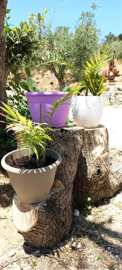 Lily Home_Lefkada ~ Private Country House Kondaraíni Esterno foto