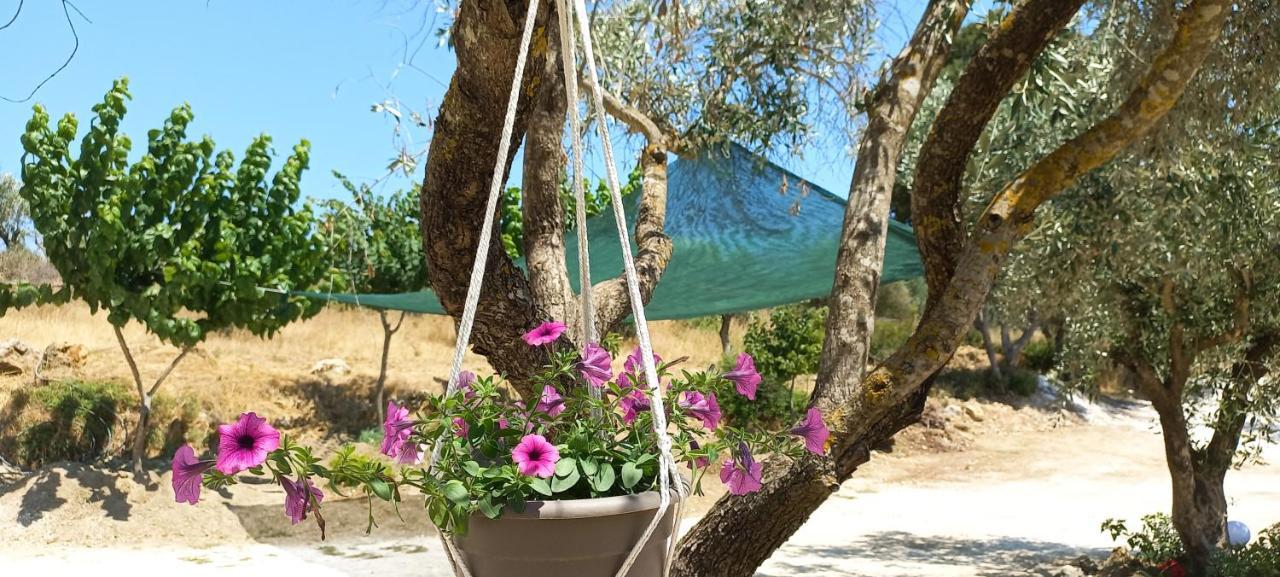 Lily Home_Lefkada ~ Private Country House Kondaraíni Esterno foto