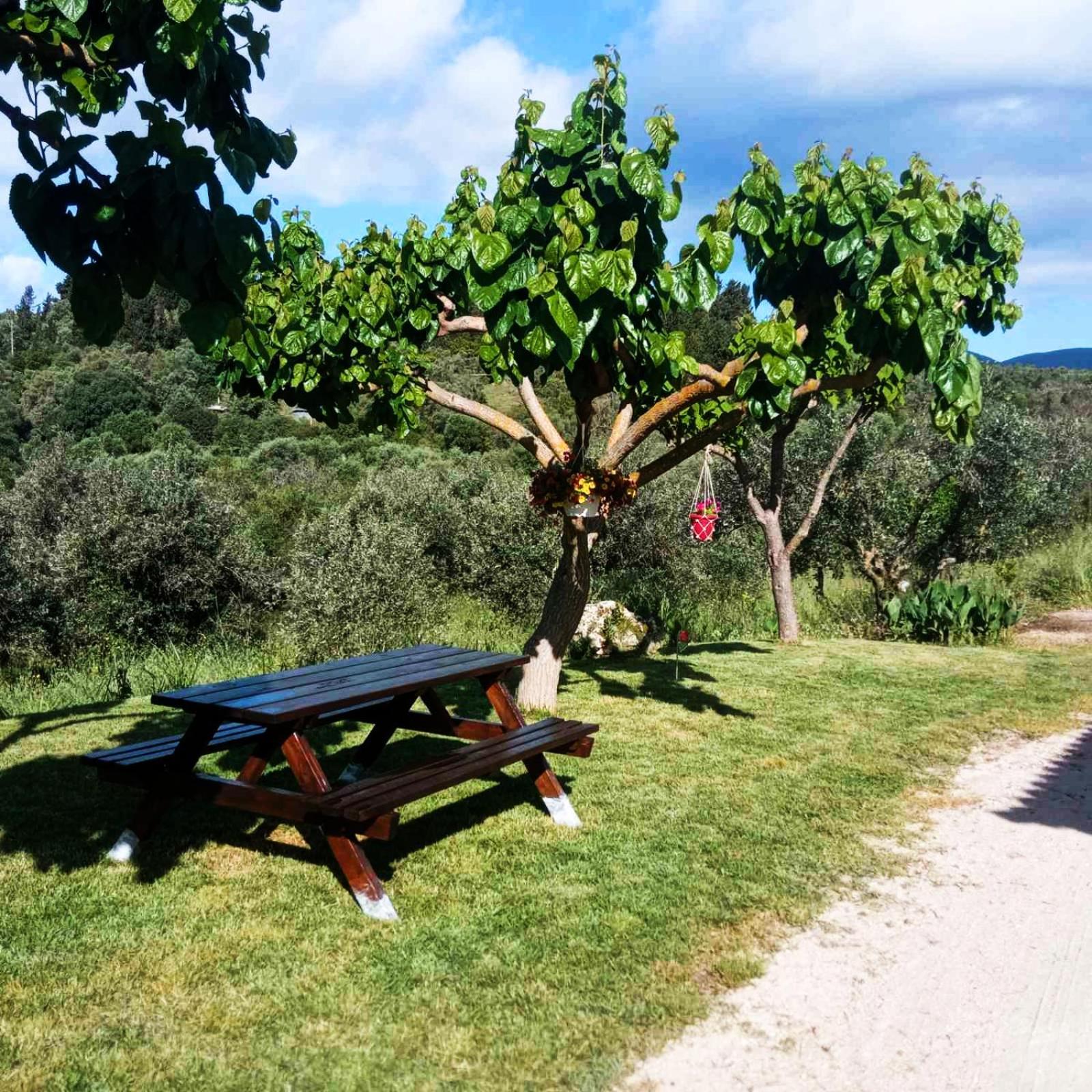 Lily Home_Lefkada ~ Private Country House Kondaraíni Esterno foto
